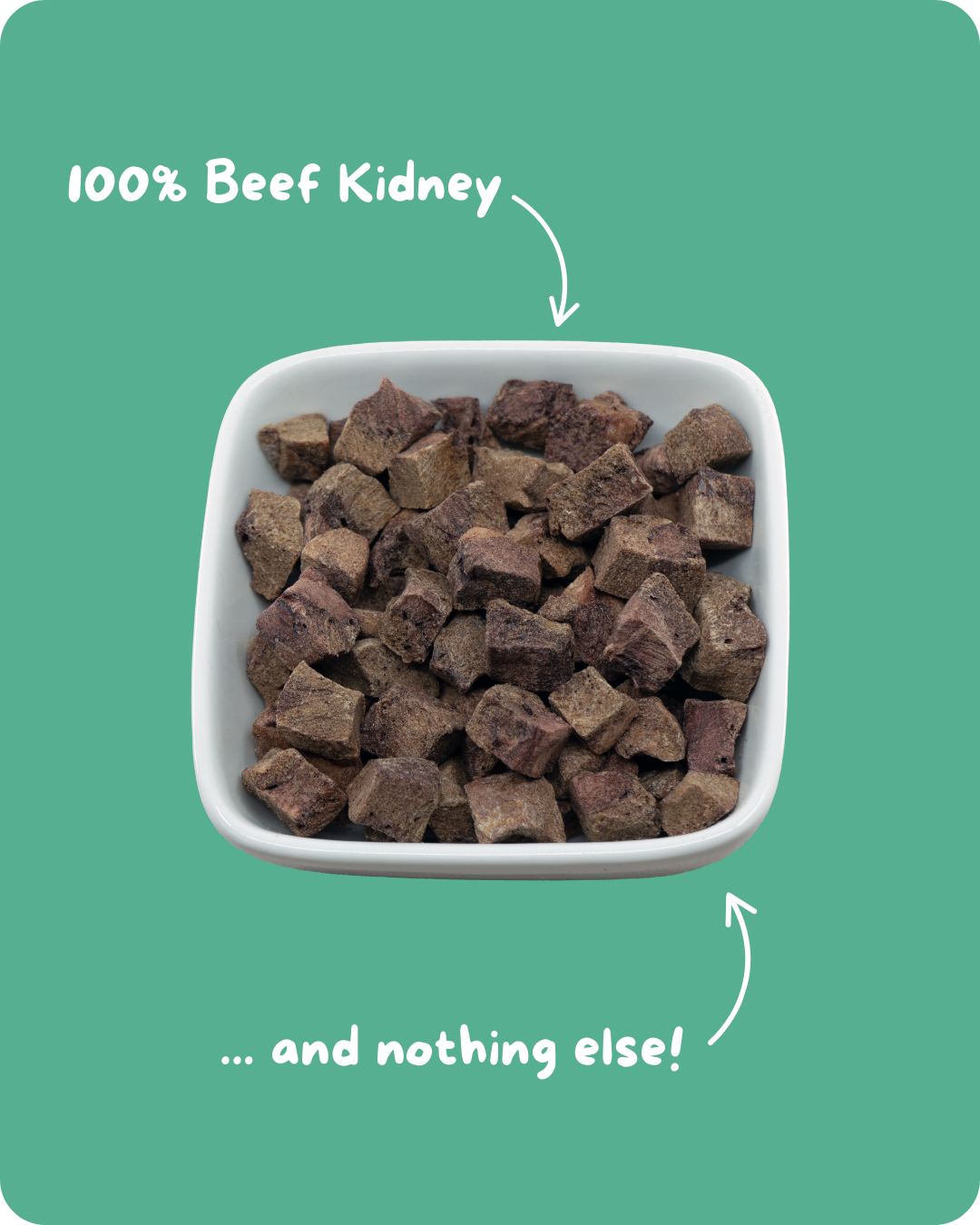 Evermorsels - Beef Kidney