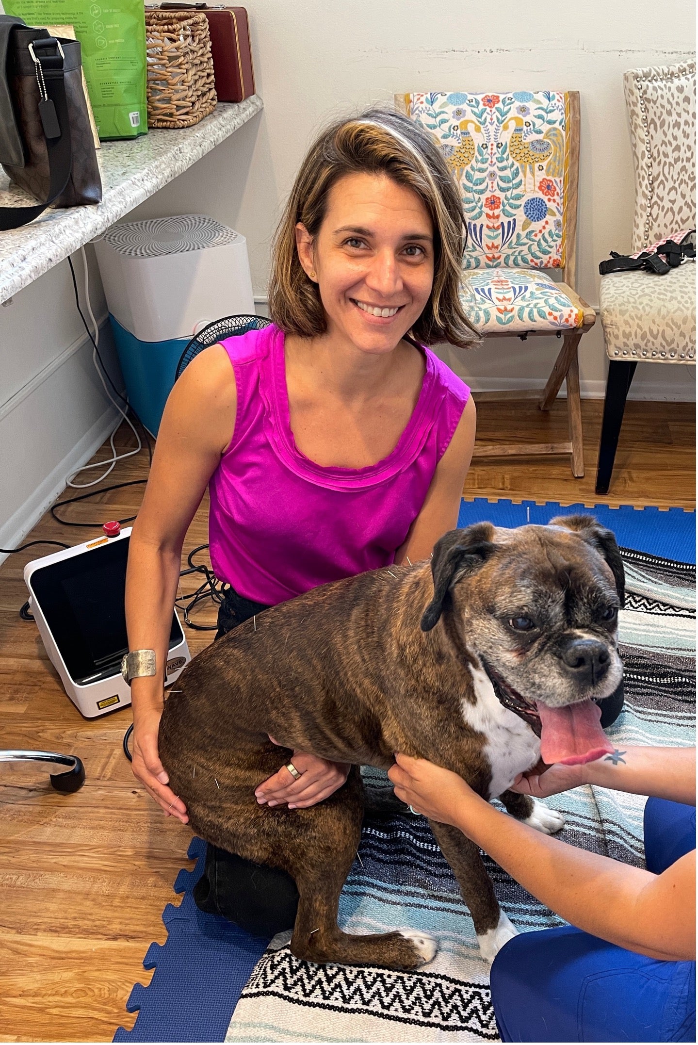 Dr. Alexia Tsakiris, BVetMed, GDVWHM, CVA, RH (AHG)