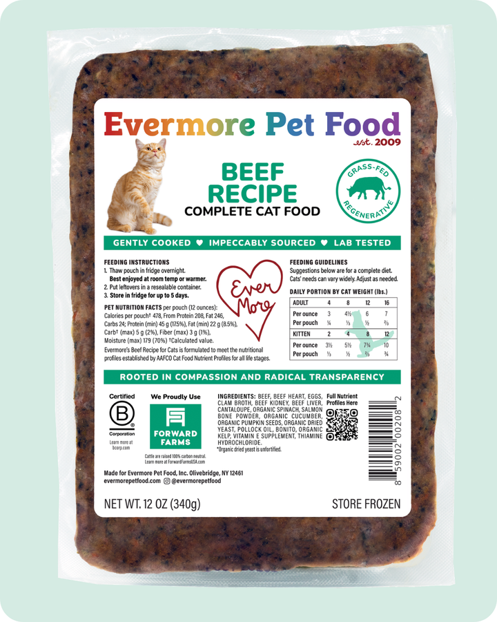 Beef Recipe - Cat