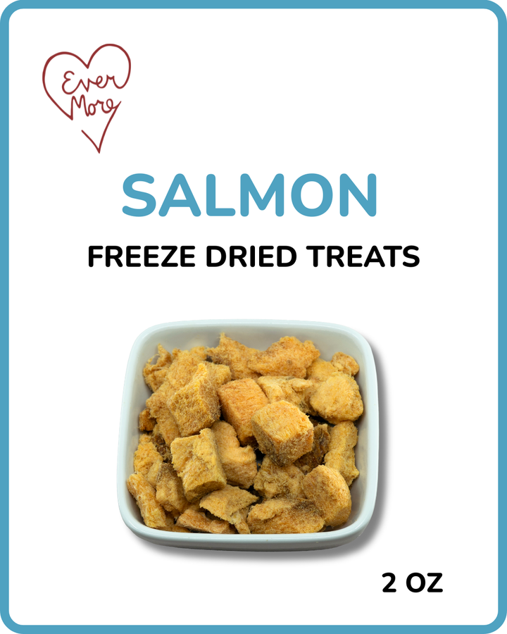 Evermorsels - Salmon