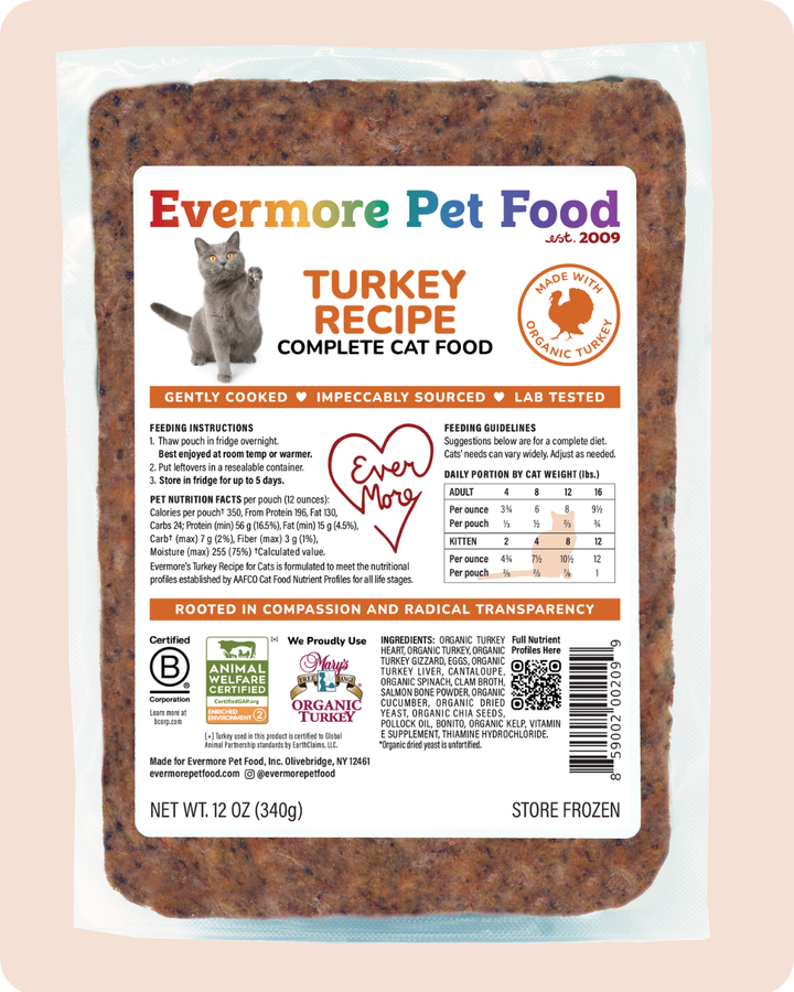 Turkey Recipe - Cat