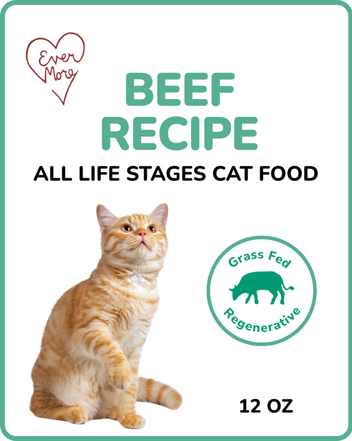 Beef Recipe - Cat