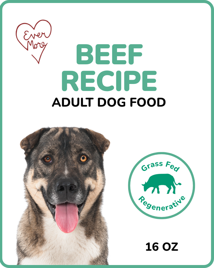 Beef Recipe - Dog