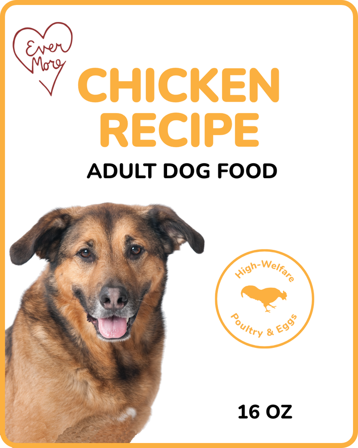 Chicken Recipe - Dog